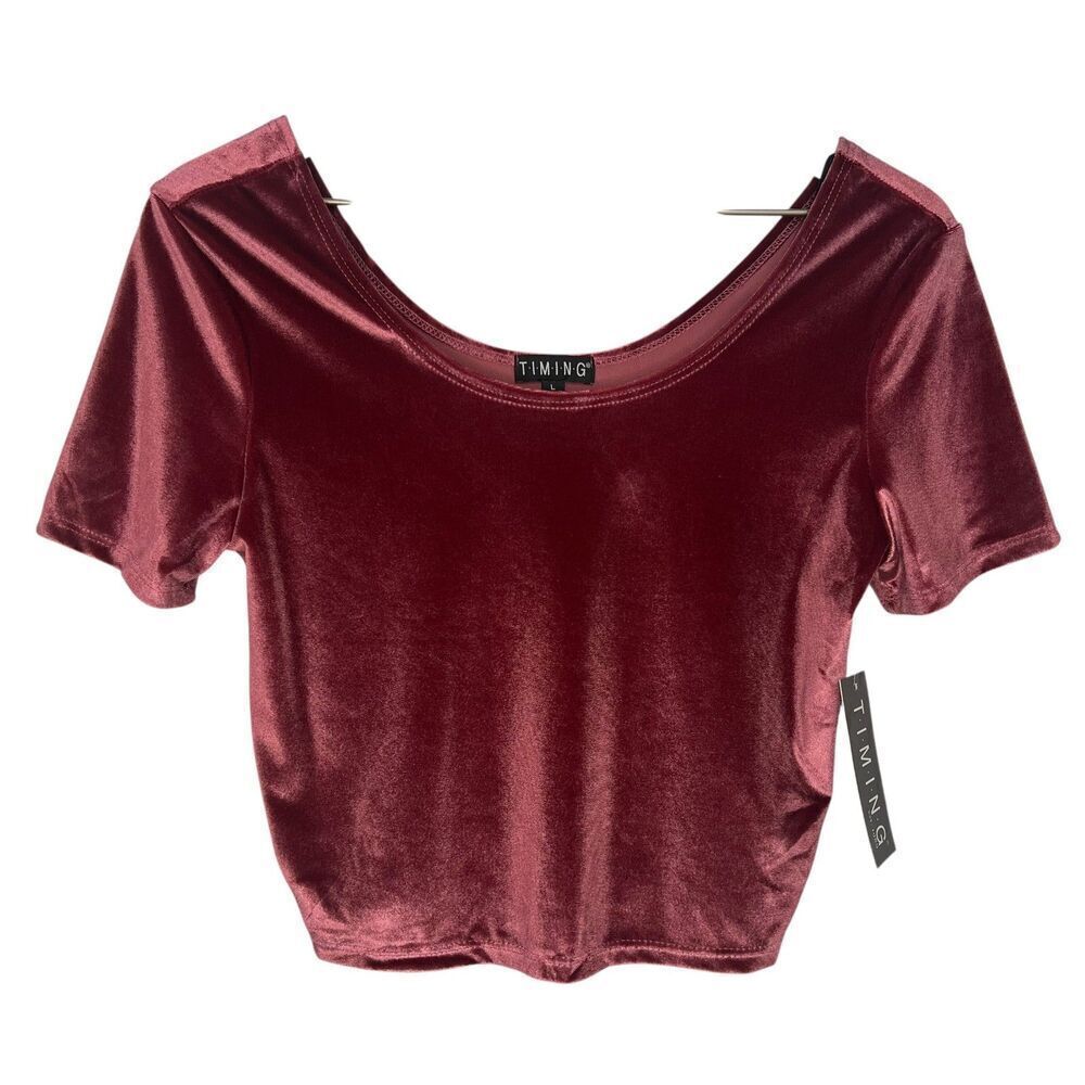 NWT Timing Velvet Crop Top Juniors Large Pink Short Sleeve Boho Festival Party